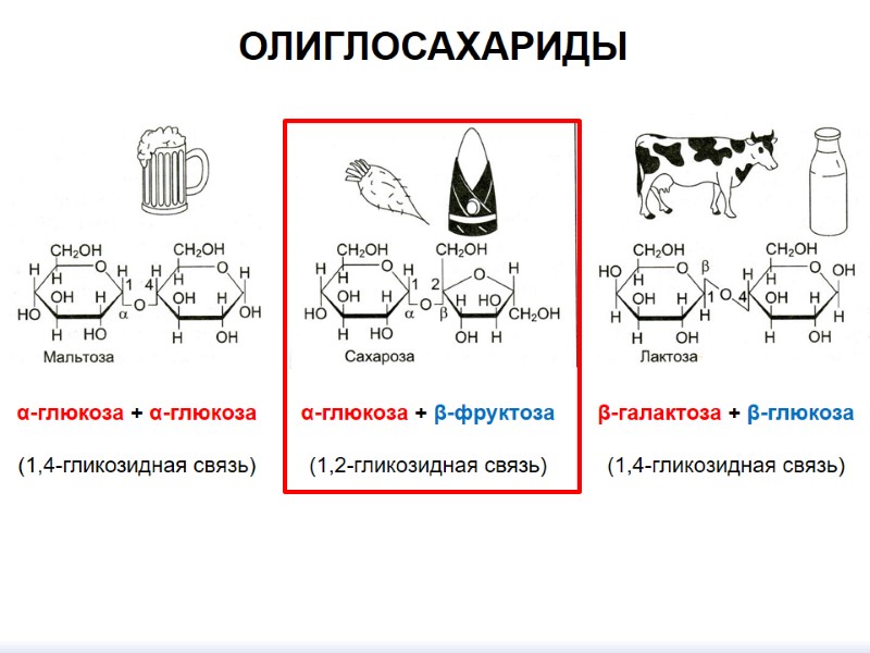 ОЛИГЛОСАХАРИДЫ β-галактоза + β-глюкоза  (1,4-гликозидная связь) α-глюкоза + β-фруктоза  (1,2-гликозидная связь) α-глюкоза